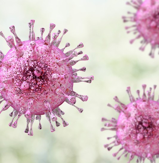 Cytomegalovirus, DNA virus from Herpesviridae family