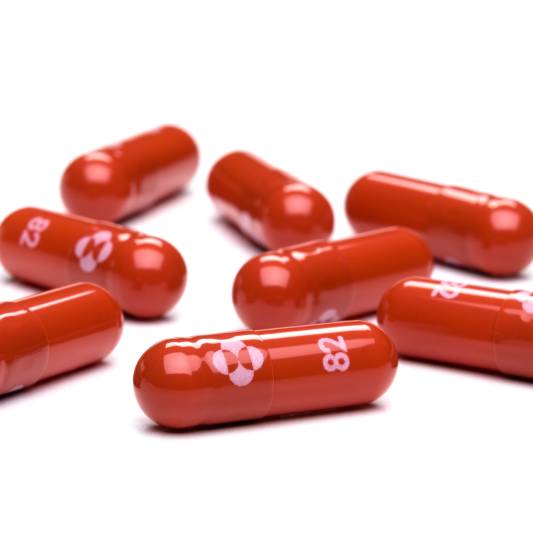 molnupiravir-8-capsules-white